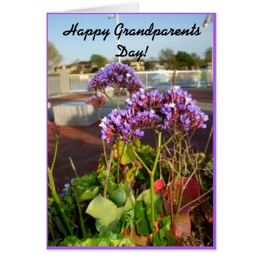 happy-grandparents-day-greeting-card-zazzle