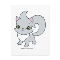 Happy Green Eyed Kitty postcards