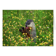 Happy Groundhog Day Card!
