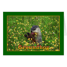 Happy Groundhog Day! Cards