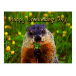Happy Groundhog Day Eating Flower Postcard
