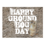HAPPY GROUNDHOG DAY POSTCARDS