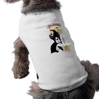 Happy Halloween Boston Terrier Witch petshirt