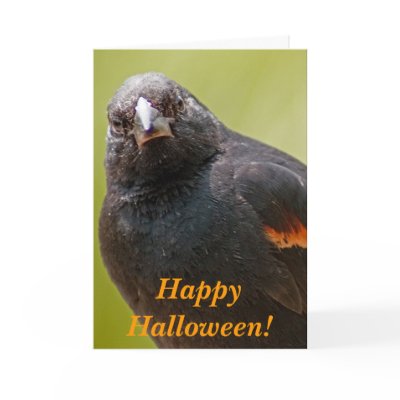 Happy Halloween! cards