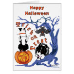Happy Halloween cards with white background cards