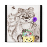 Happy Halloween Costumed Raccoon Magnets