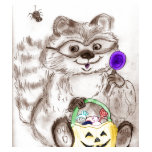 Happy Halloween Costumed Raccoon Tee Shirts