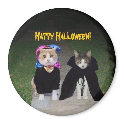Happy Halloween! magnets