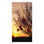 Happy Halloween Personalized Photo Card