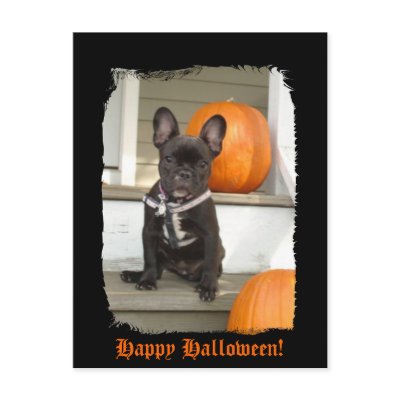 Happy Halloween! postcards