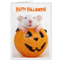 Happy Halloween Pumpkin Rat cards