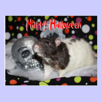 Happy Halloween - Rat Postcar postcards