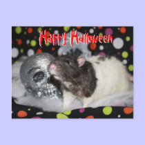 Happy Halloween - Rat Postcar postcards