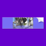 happy hanukkah happy chanukah bird junco bumper stickers