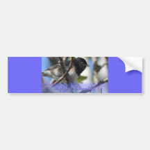 happy hanukkah happy chanukah bird junco bumper stickers