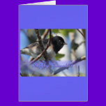 happy hanukkah happy chanukah bird junco cards