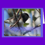 happy hanukkah happy chanukah bird junco cards