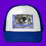 happy hanukkah happy chanukah bird junco hats