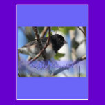 happy hanukkah happy chanukah bird junco postcards