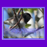 happy hanukkah happy chanukah bird junco postcards