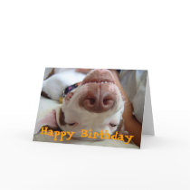 Happy Happy Birthday cards
