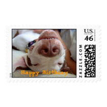 Happy Happy Birthday Stamps