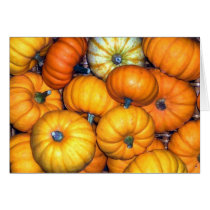 Happy Harvest Card