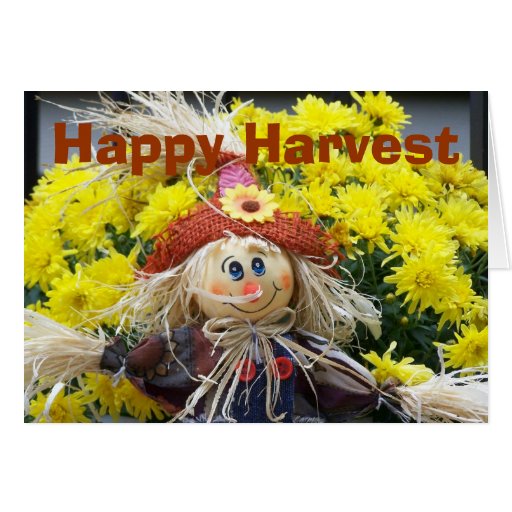 Happy Harvest Cards Zazzle