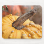 Happy Harvest! Mouse Pads