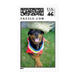Happy Hawaiian Dog Stamp stamps
