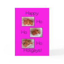 happy ho ho holigays gay x-mas card