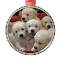Happy Holiday Golden Retriever puppies Round Metal Christmas Ornament