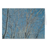 Happy Holiday Greeting Card cards