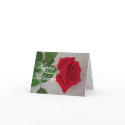 Happy holiday red rose cards