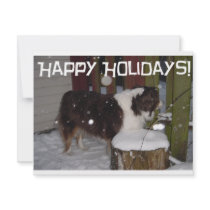Happy Holidays Aussie Announcement