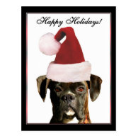 Happy Holidays Boxer dog postcard