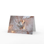 Happy Holidays Greeting Cards