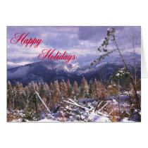 Happy Holidays Card