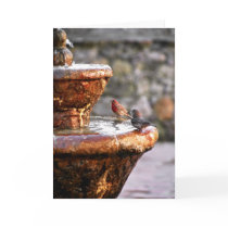 Happy Holidays cards