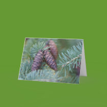 Happy Holidays Card