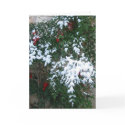 Happy Holidays cards by laurascook Happy Holidays cards