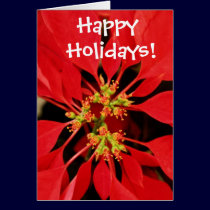Happy Holidays Card