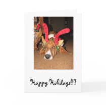 Happy Holidays!!!! Greeting Card