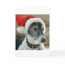 Happy Holidays cards by WhiskeyLullaby Happy Holidays cards