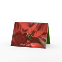Happy Holidays Card3- Customizable