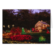 Happy Holidays Cards