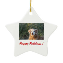 Happy Holidays ! - Chance Christmas Ornaments