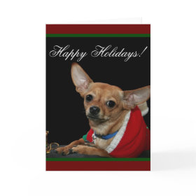 Happy Holidays Chihuahua card