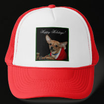 Happy Holidays Chihuahua hats
