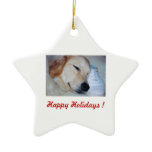 Happy Holidays ! - Chip ornaments